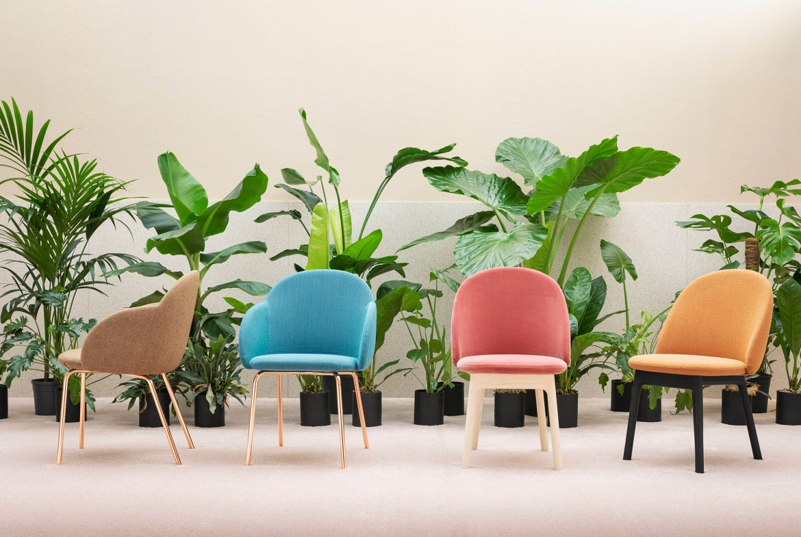SEDIA IOLA WITH ARMREST
